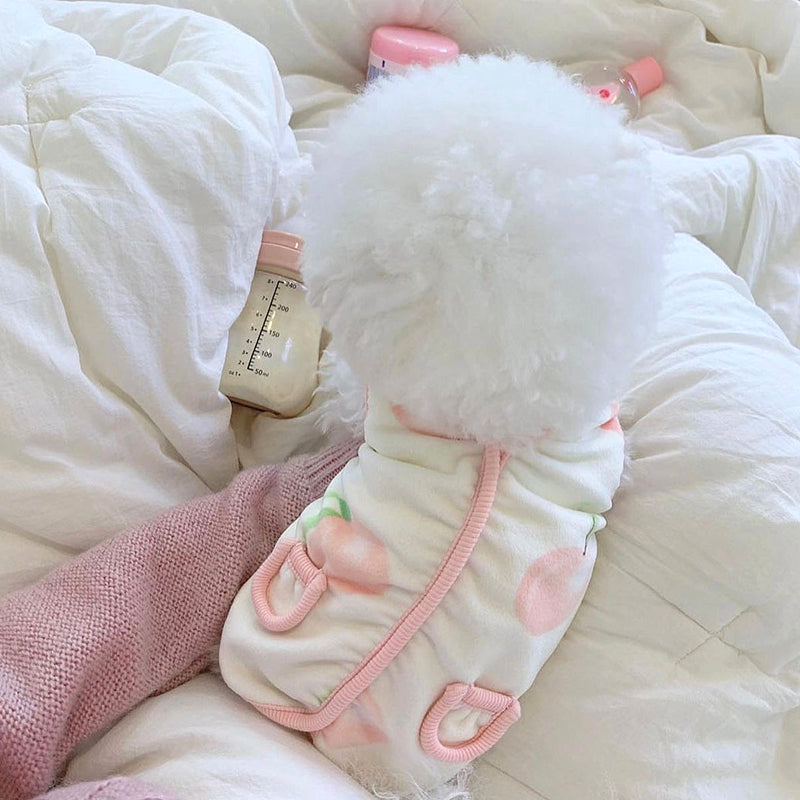Peach Pet Cat Small Puppies Teddy