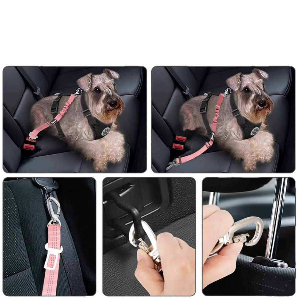 Pet Supplies Explosions Dog Leash Small Dog Vest Chest Strap Reflective Dog Rope Wholesale