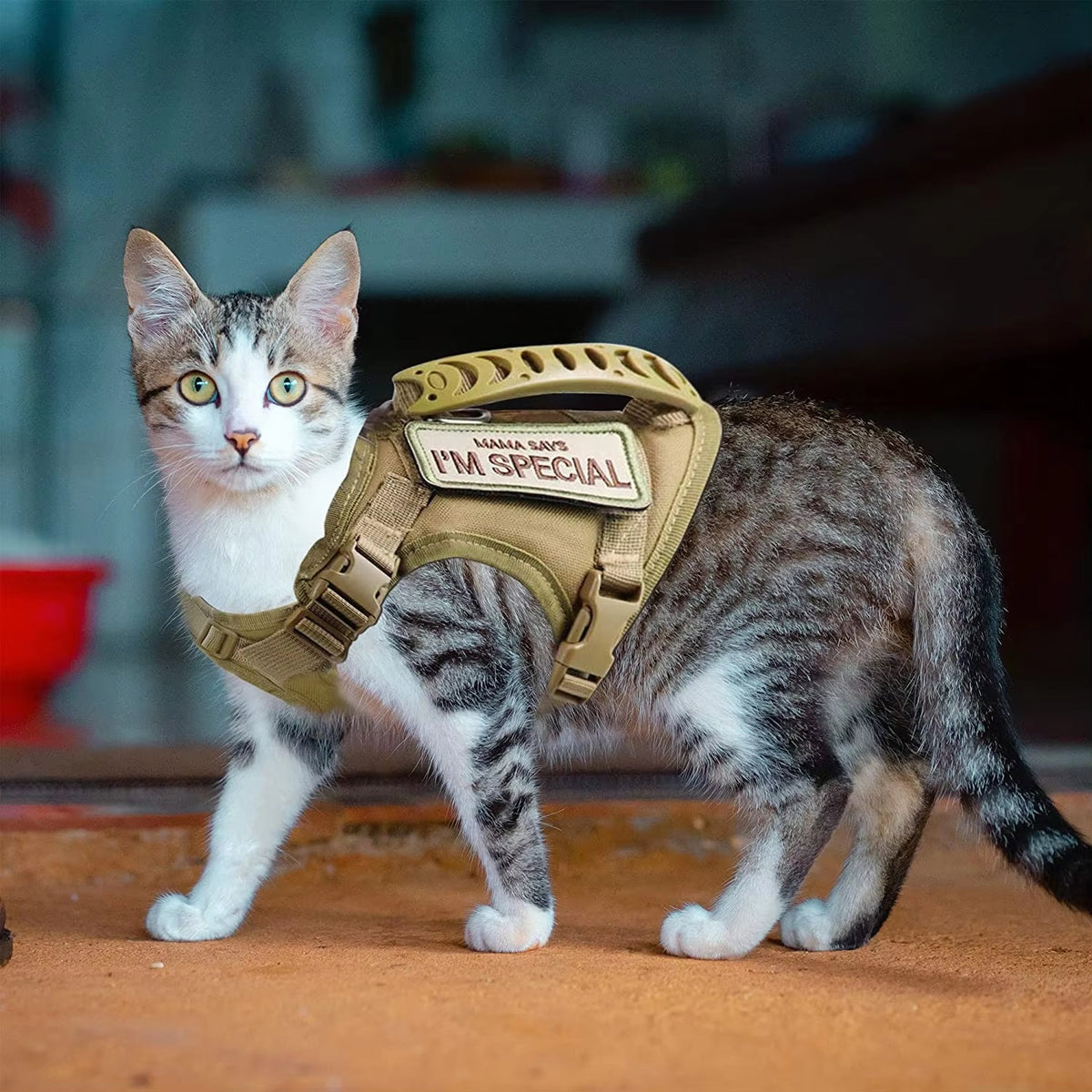 Pet Velcro Harness Vest-style