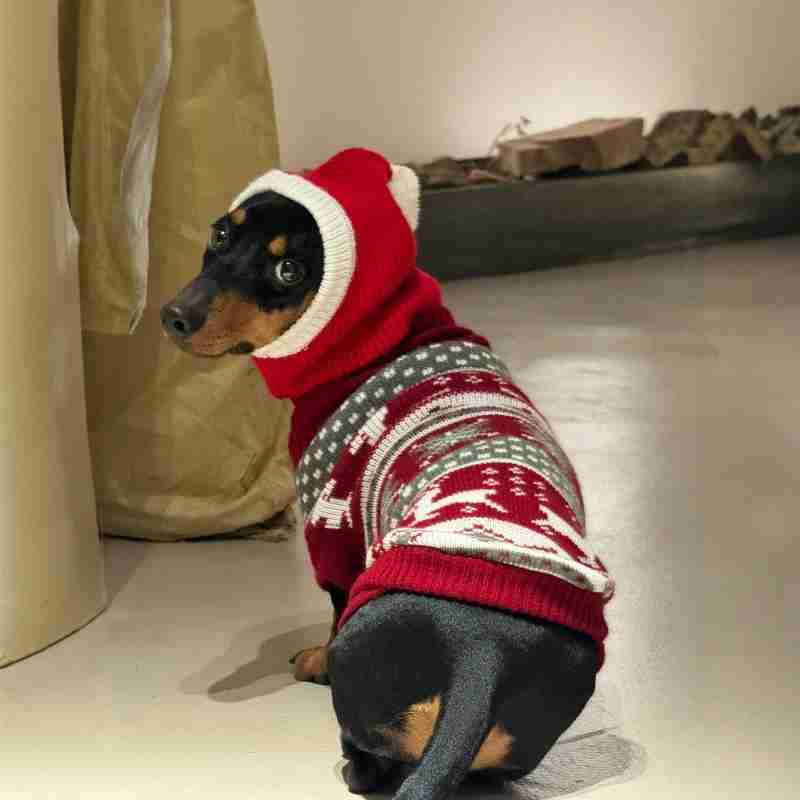 Christmas Dress Up Warm Plush Dachshund Hat