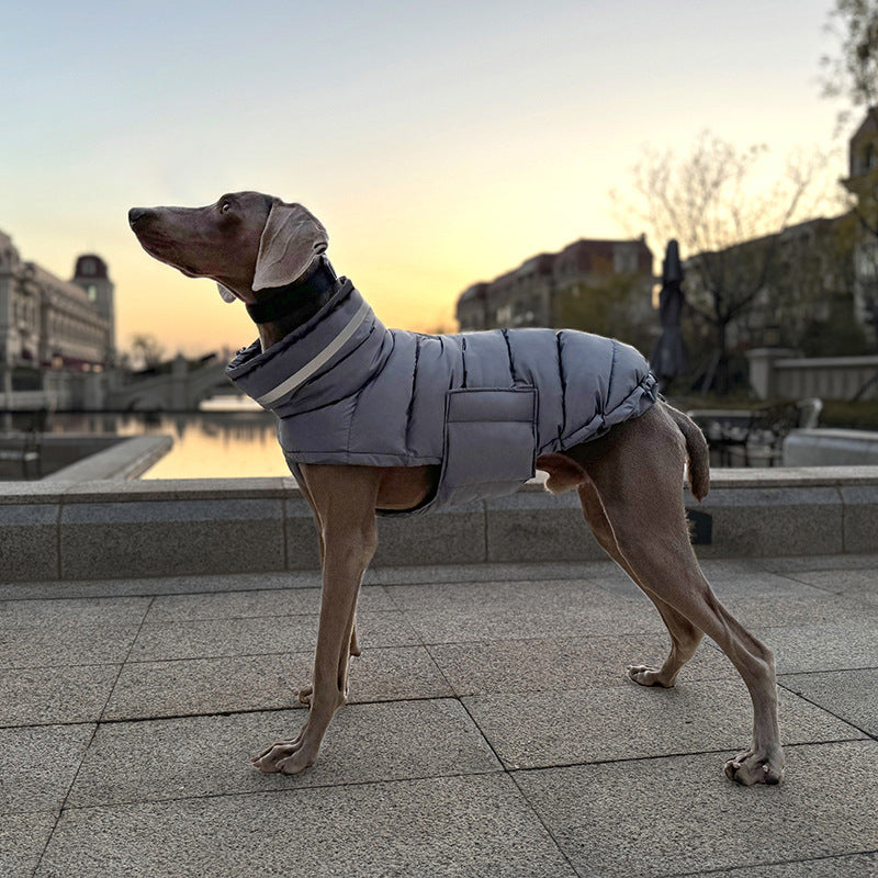 Winter Cotton Padded Pet Clothes