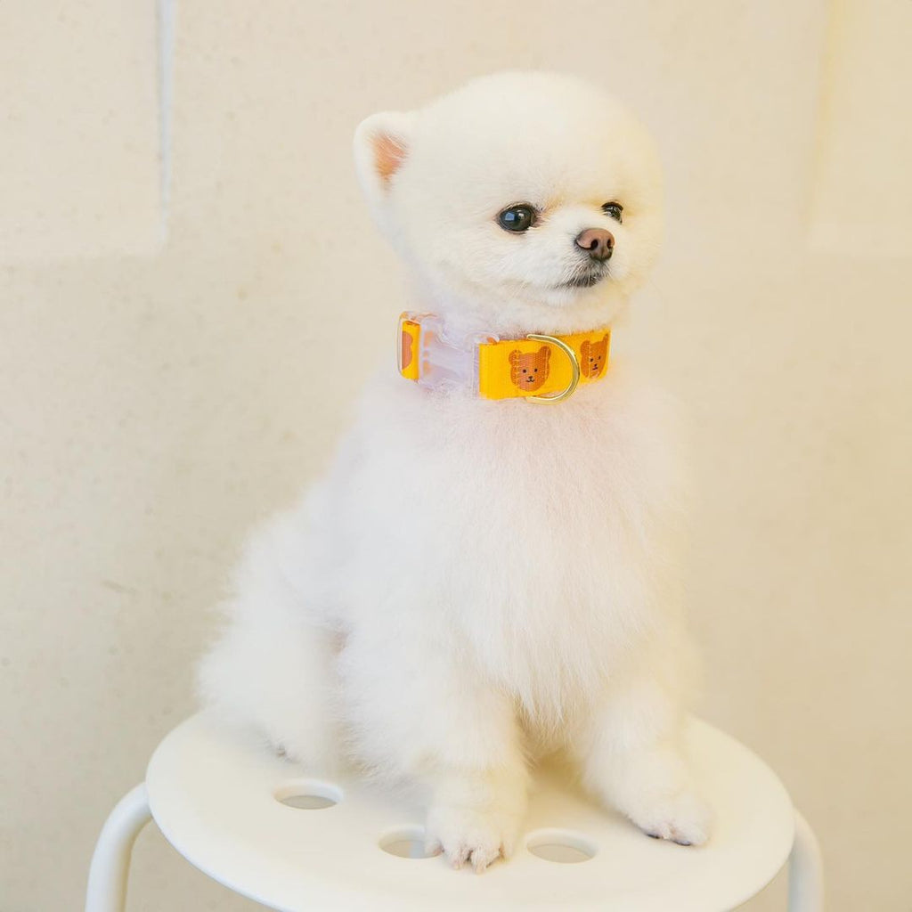 The New Cat Dog Pet Bear Collar Is Cute Soft And Durable