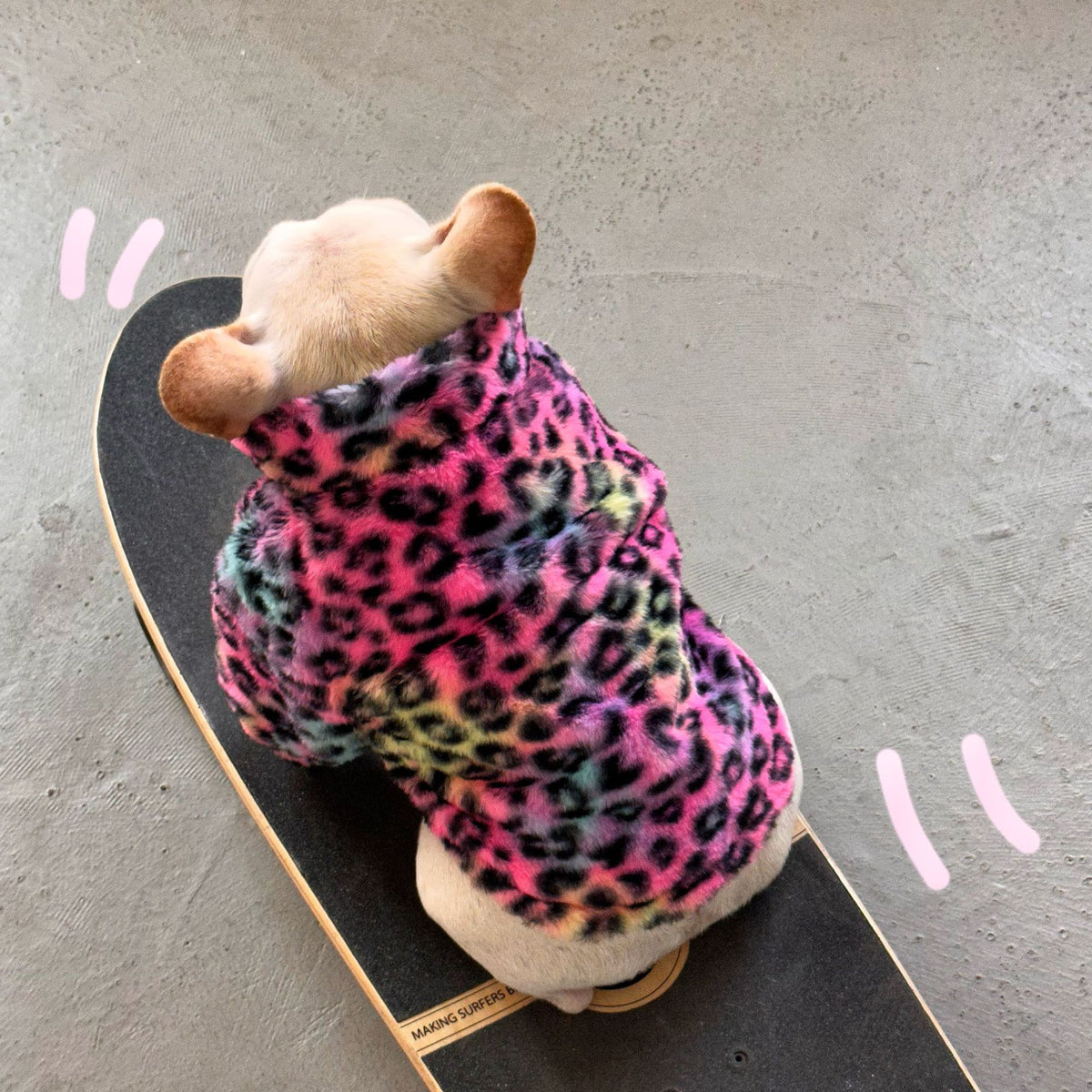 Pet Clothes Colorful Leopard Print Velvet Coat