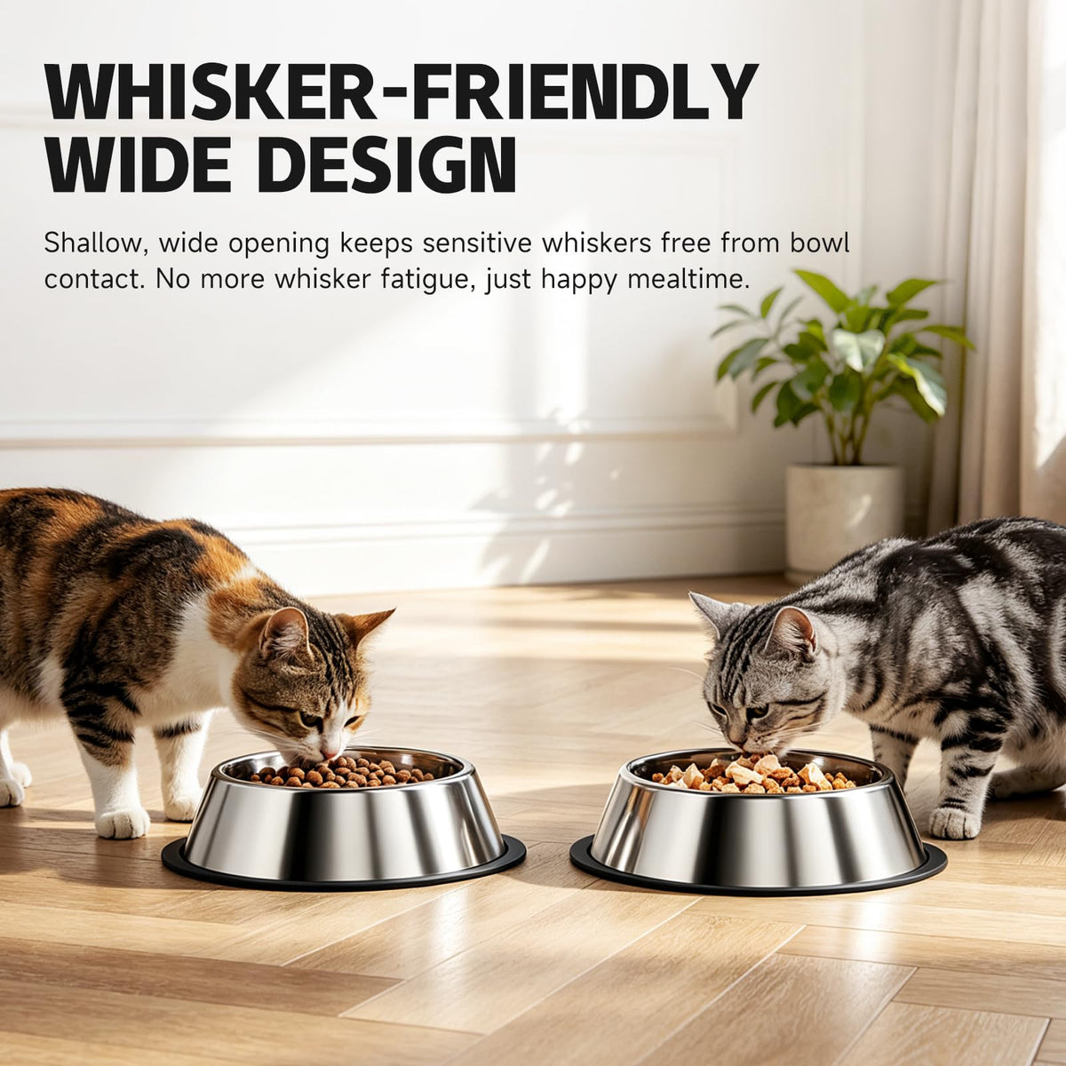 Stainless Steel Food Water Shallow Whisker Friendly Cat Pet Bowl Metal Dish,Removable Base,2-pack Set,12 FL OZ 350 Ml,Easily Clean,Dishwasher Safe,for