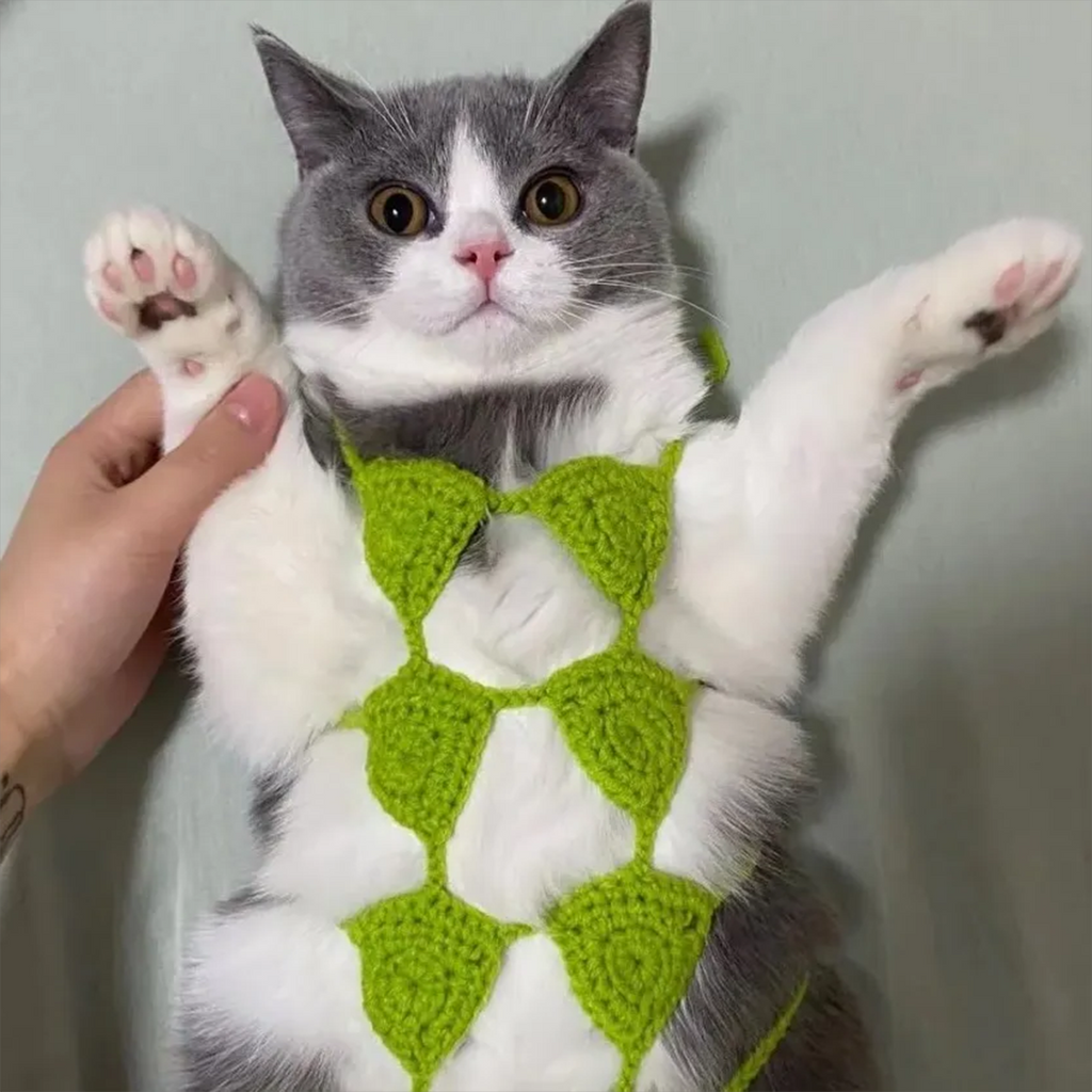 Funny Cat Clothes Cosplay Cat Bikini Sexy Pet Underwear Cat Bra Halloween Dress Pet Bikini Clothing Festival Party Clothing