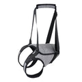 Pet Supplies Injured Dog Rear Leg Auxiliary Back
