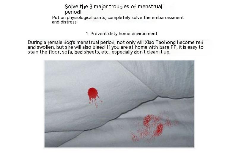 Pet Big Dog Menstrual Panties Menstrual Underwear Anti-harassment Menstrual Panties Pet Dog Underwear