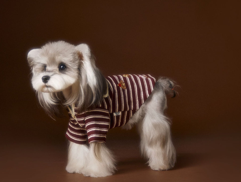 Teddy Bichon Maltese Striped Embroidered Sailor Collar Sweatshirt