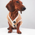 Yorkshire Miniature Pinscher Bichon Hoodie Striped