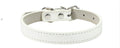 Small And Medium Size Dog Pet Collar