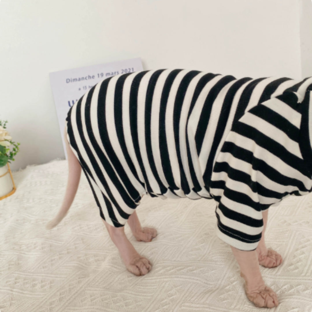 Hairless Cat Sphinx Clothes German Cat Stripes