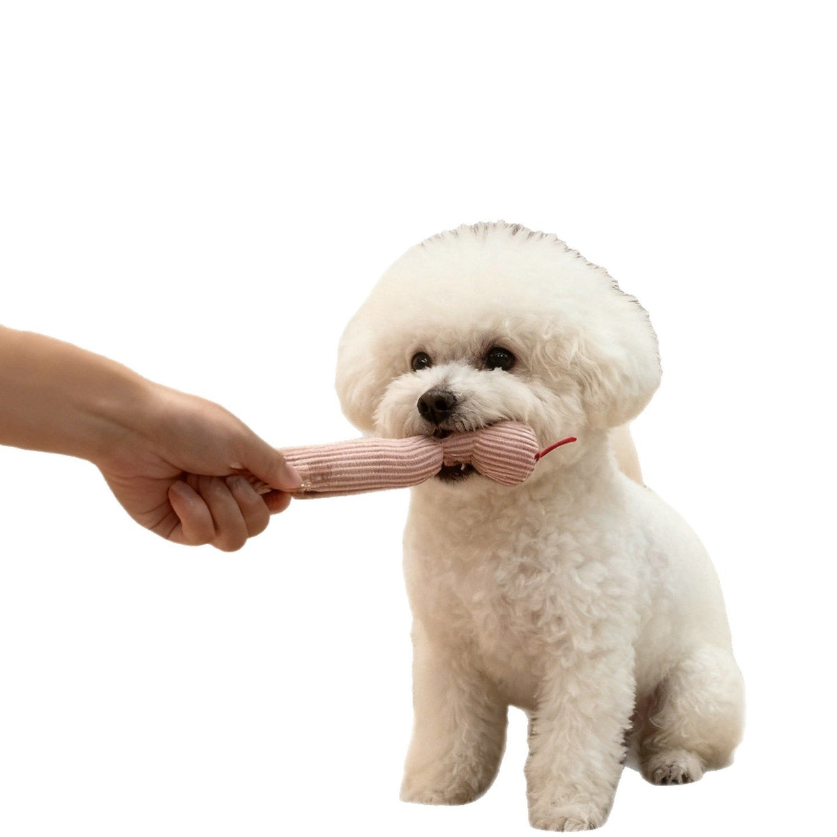 Pet Cat Teaser Snake Toy