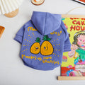 Winter Cartoon Printed Plush Pet Hoodie