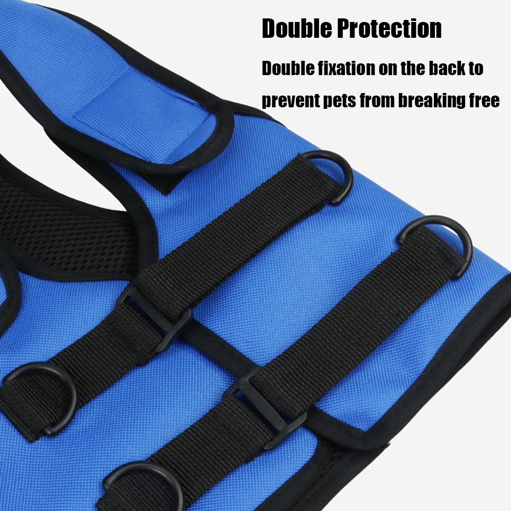 Rehabilitation Training Belt For Middle-aged And Elderly Dogs