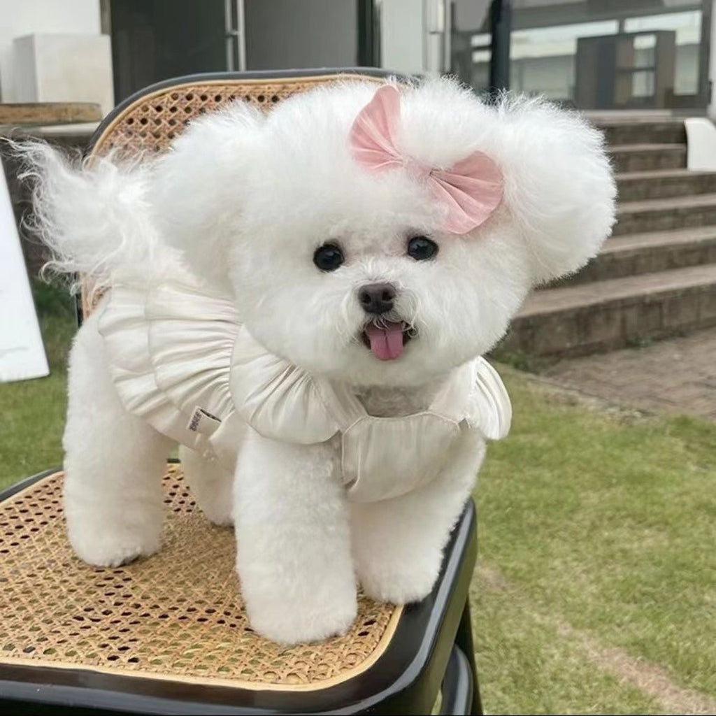 Pet Clothes Streamer Breathable Gauze Skirt Teddy Bichon Dog Cat Out Traction