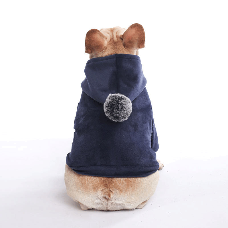 Dog Clothes Autumn And Winter Clothes Super Soft Sweater Thick Warm Sweater Corgi Schnauzer Fleece