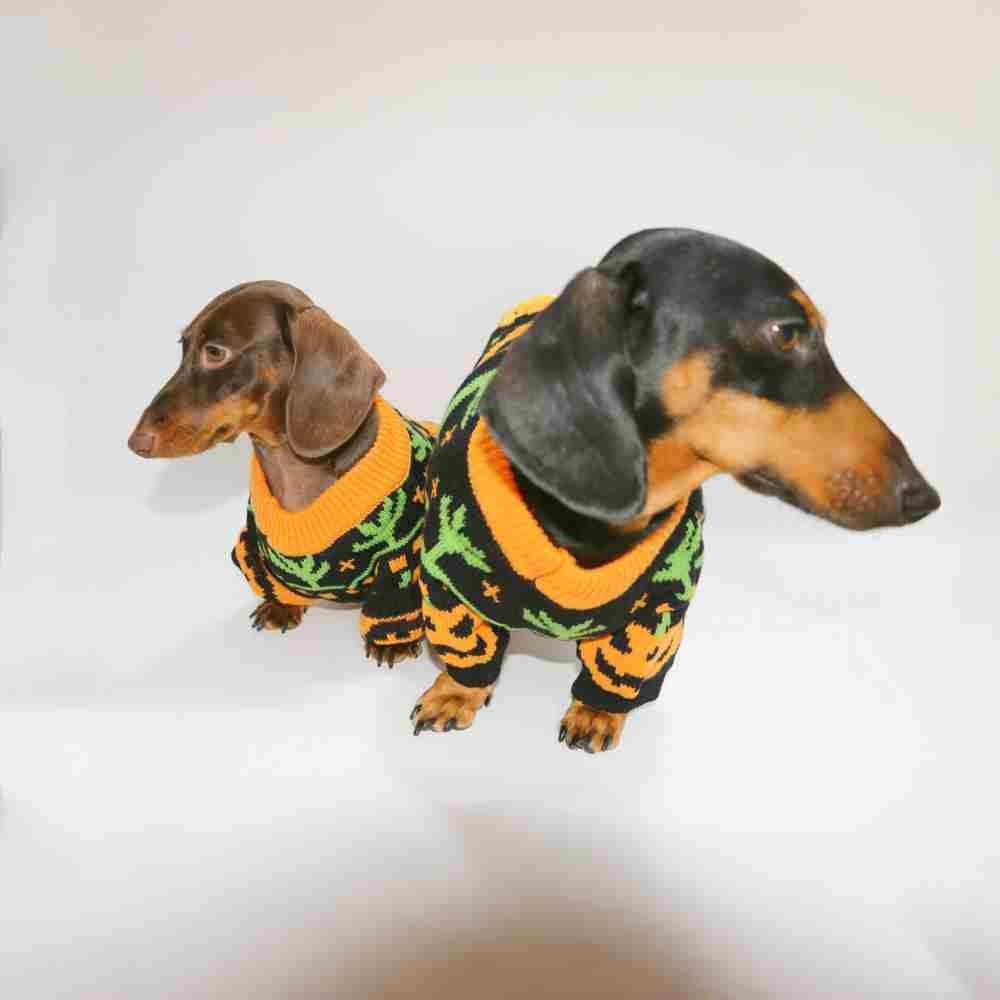 Dog Cat Pet Clothes Warm Pumpkin Color Matching Sweater