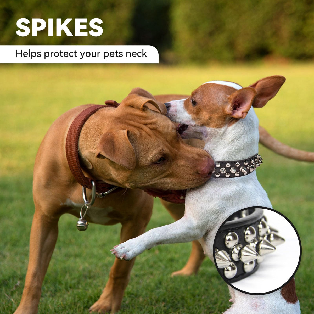 Small Spiked Black Dog Cat Collar For Small Medium Dogs Boy Male - Adjustable Studded Puppy Collars - Soft Padded Punk Leather Dog Collar For