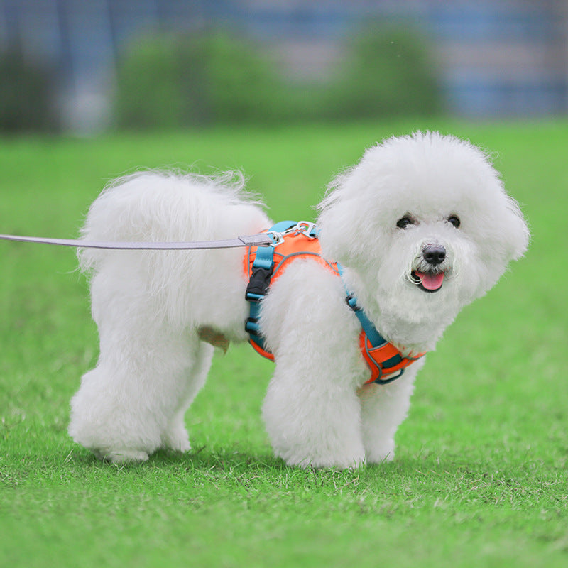 Large Anti Slip Pet Chest Harness In Traction Rope