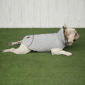 Plus velvet padded teddy cotton coat
