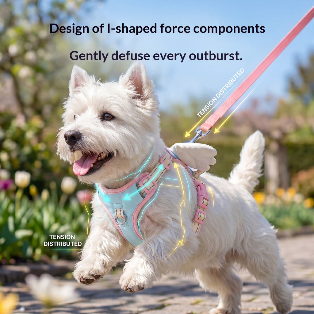 Angel Wings Dog Leash Outdoor Vest-Style Harness