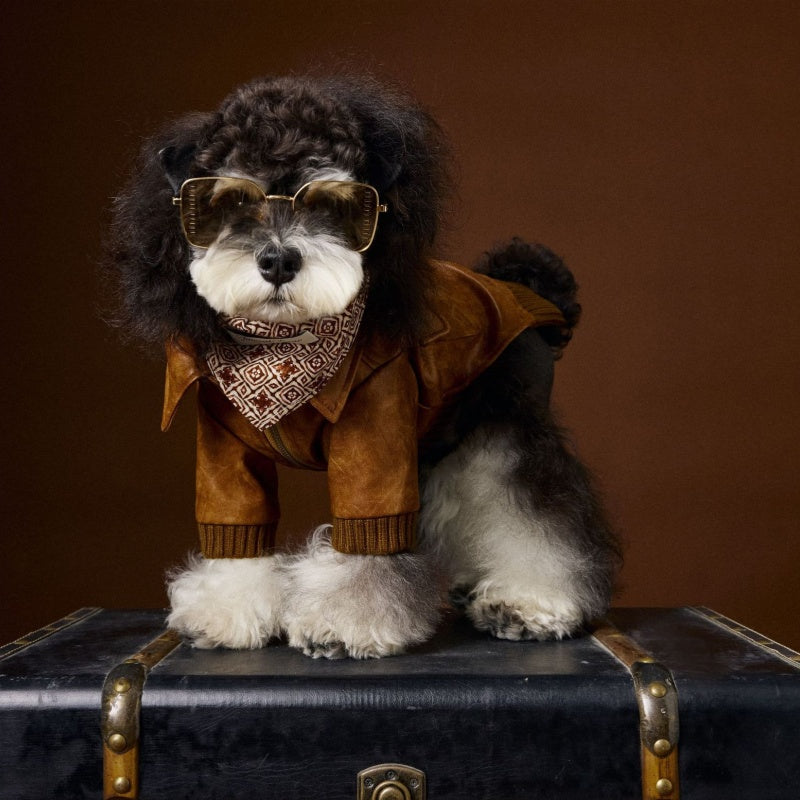 Schnauzer Bichon Handsome Retro Style Long Sleeve Two Feet Apparel Leather Coat