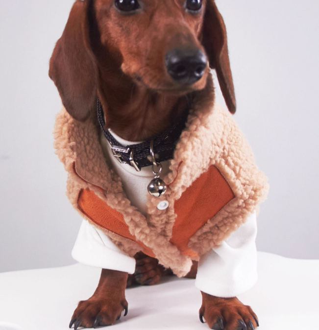 Pet Cat Clothes Winter Puppy Clothes