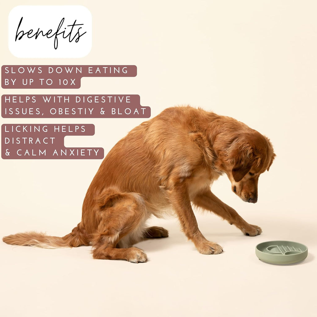 The Slowdown Bowl Silicone Slow Feeder For Dogs Puppies Slow Eating Modern Lick Mat Design Reduces Gulping Dishwasher Fit For All Breed Mealtime