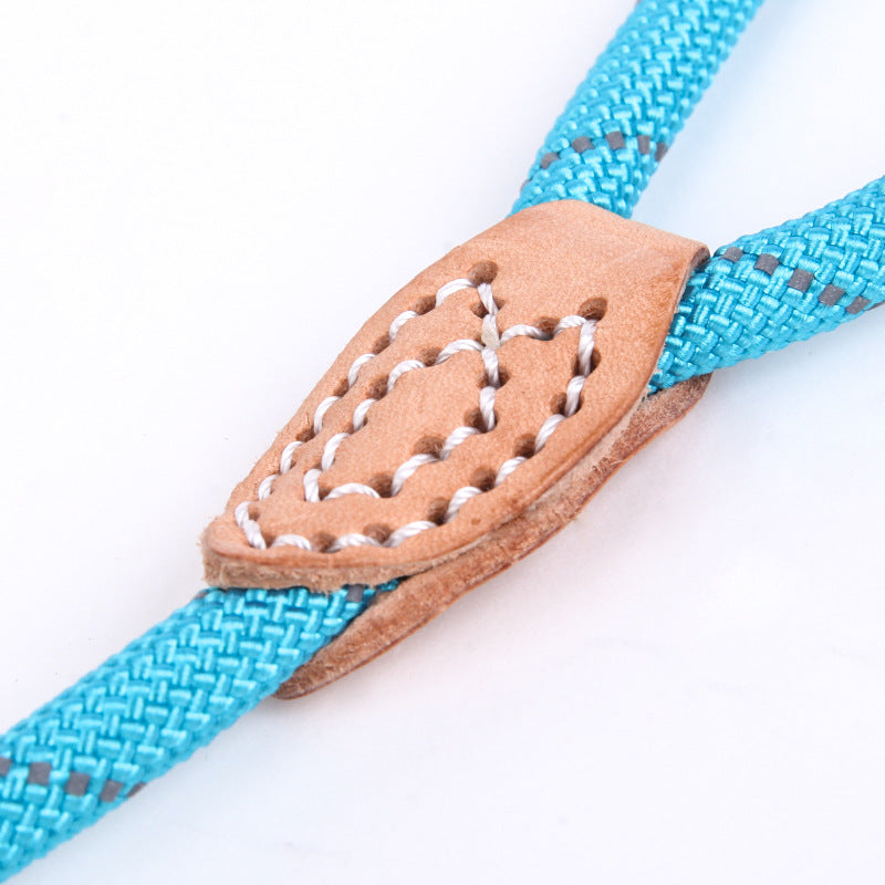 Reflective silk hyena leash