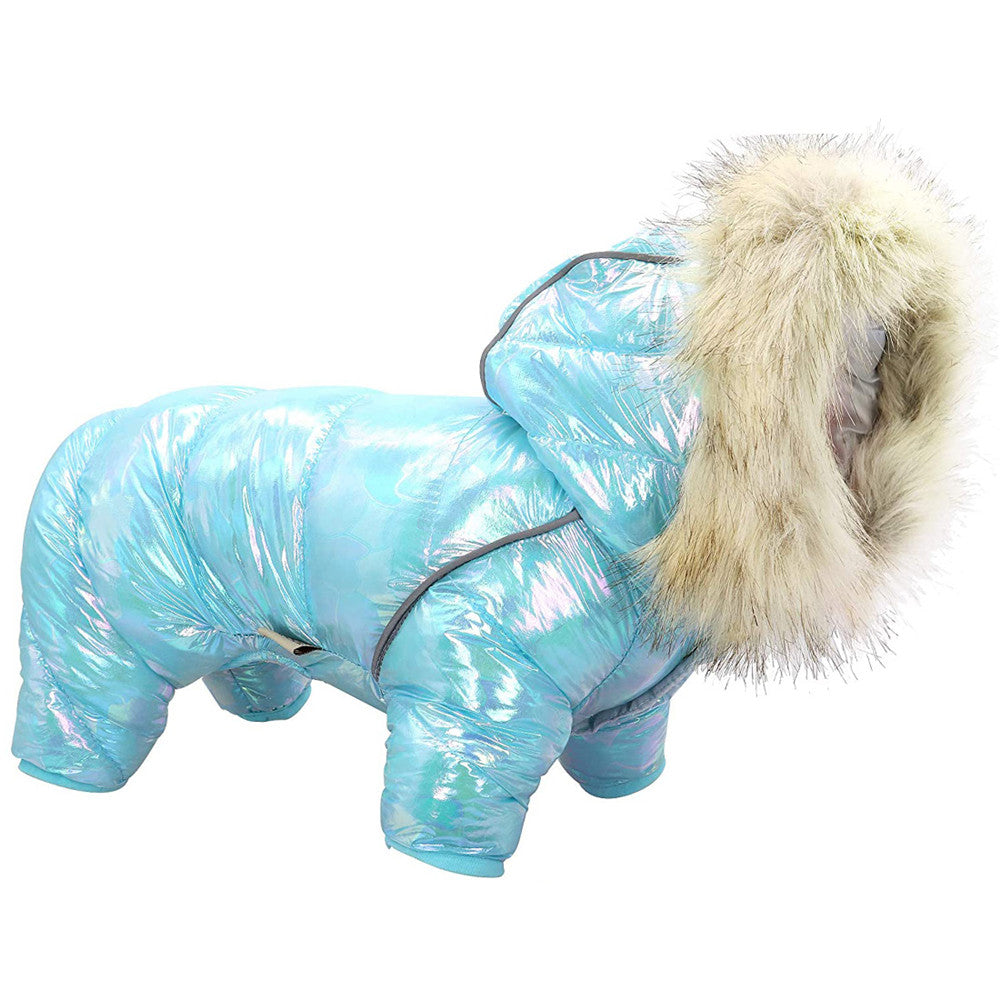 Dog clothes colorful hat four legged sweater button