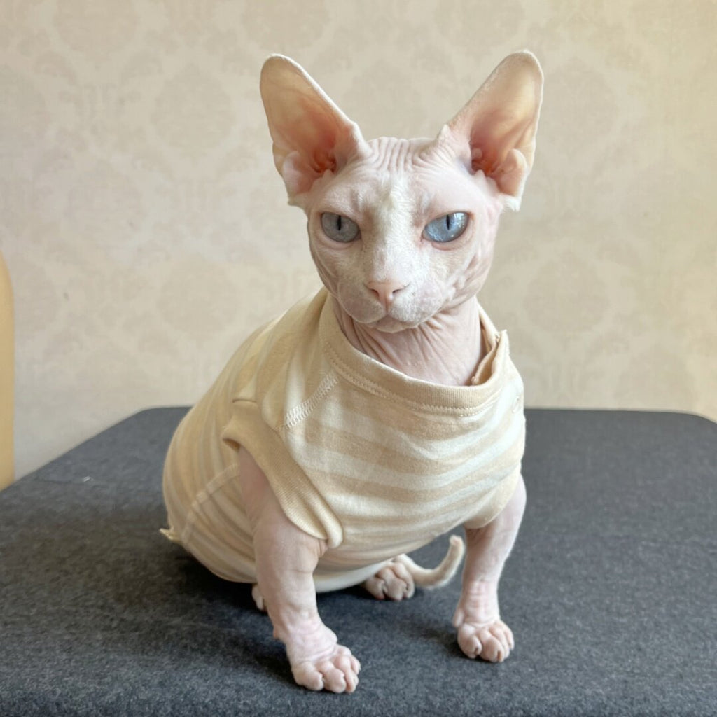 Hairless Cat Clothing Sphynx Autumnwinter Warmth