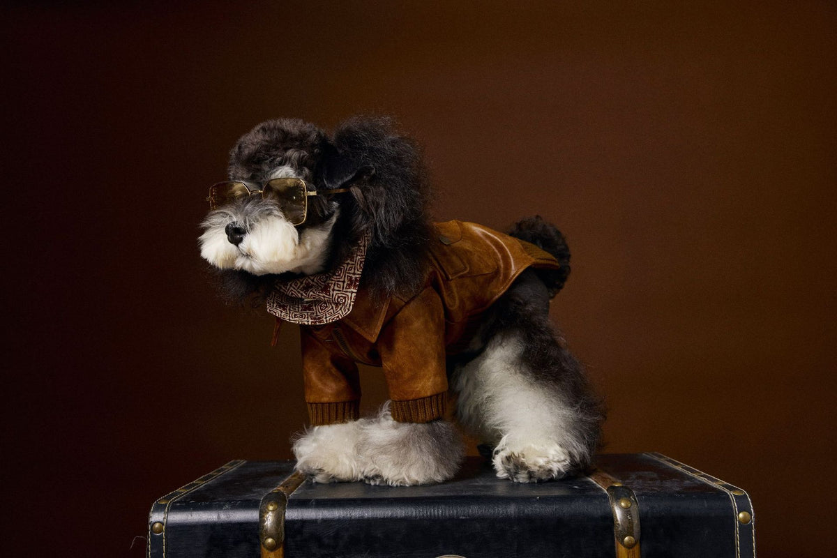 Schnauzer Bichon Handsome Retro Style Long Sleeve Two Feet Apparel Leather Coat