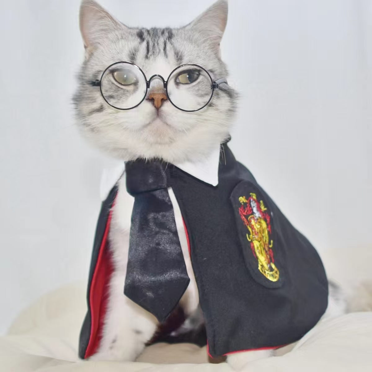 Pet Cat Dog Magic Harry Potter Glasses Small Cloak Robe Shawl College Internet Celebrity
