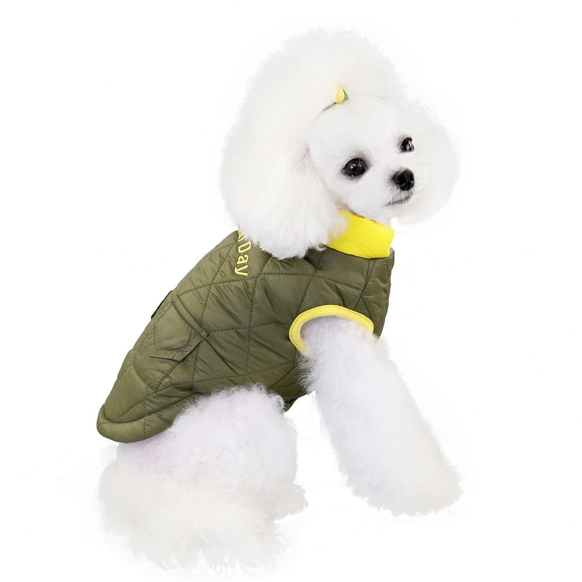 Pet double bag cotton vest