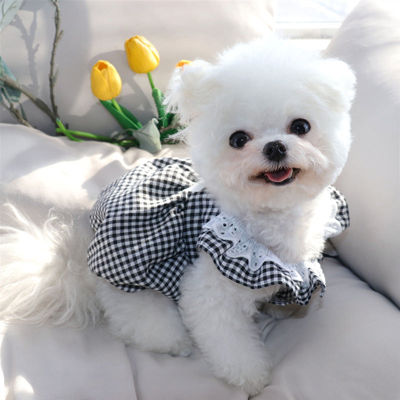 Fashion Summer Thin Dog Princess Skirt