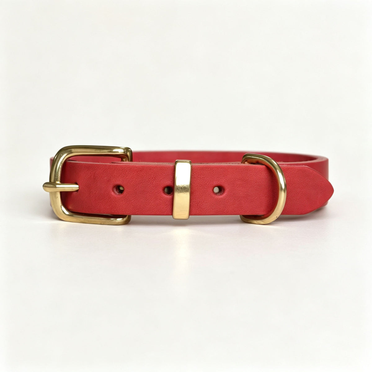 Vintage-style Pet Collar With Brass Fastenings