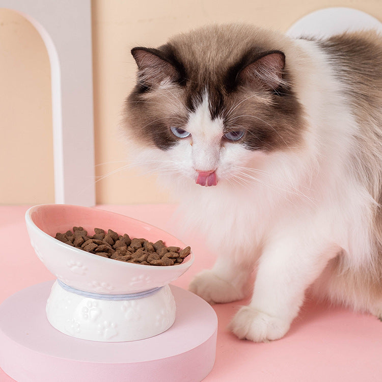 Single Bowl Anti Overturning Shelf Neck Guard Pet Supplies Food Bowl