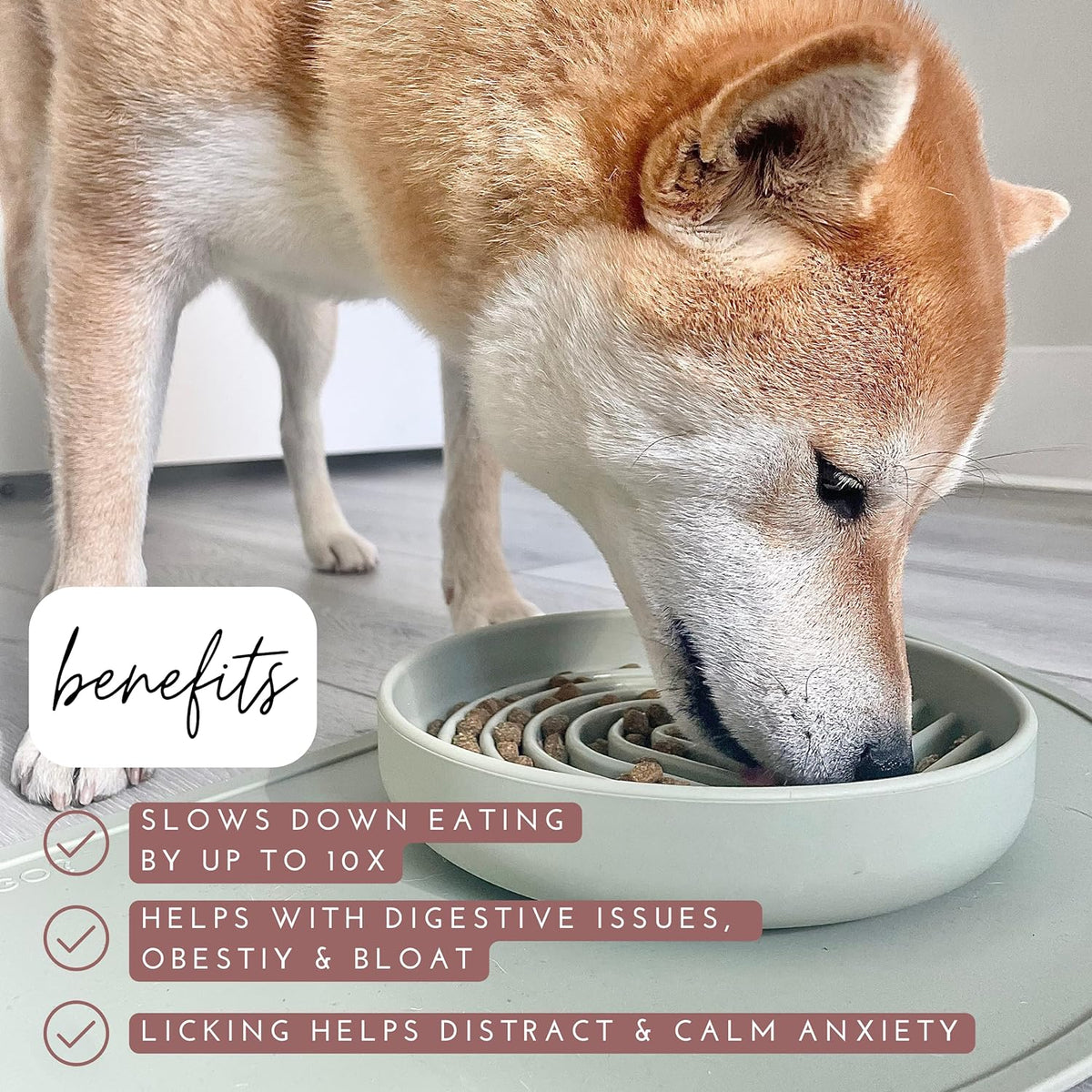 The Slowdown Bowl Silicone Slow Feeder For Dogs Puppies Slow Eating Modern Lick Mat Design Reduces Gulping Dishwasher Fit For All Breed Mealtime
