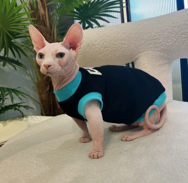 Sphynx Cat Black T-shirt Blue Trim Cotton Sleeveless Spring Summer Clothes for Hairless Cats