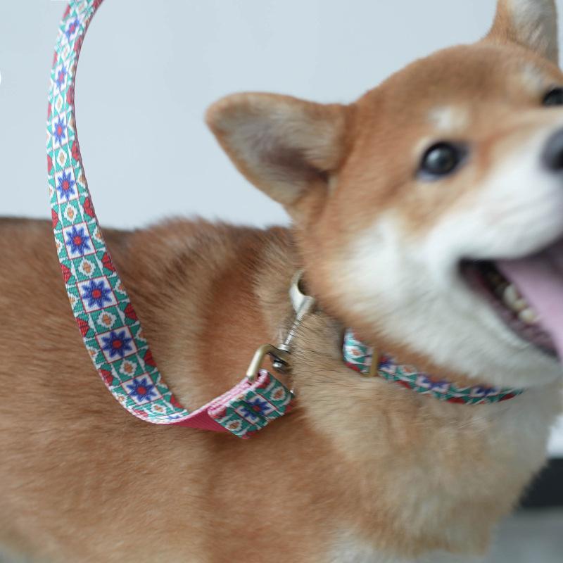 Comfort Training Kaleidoscope Harness Set