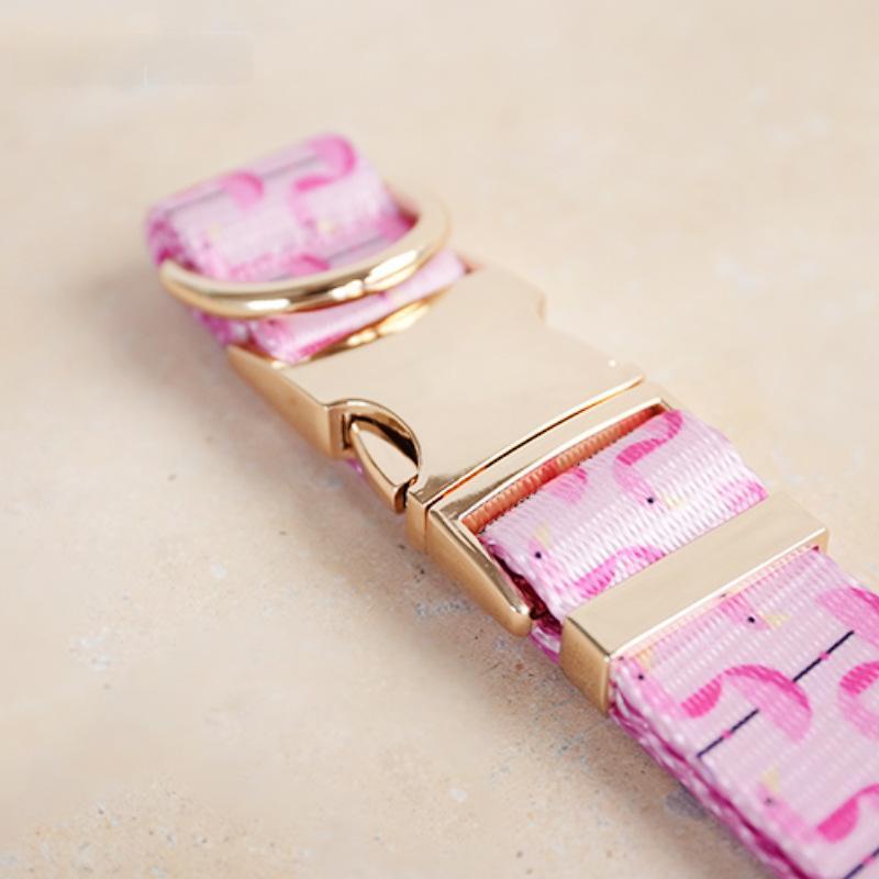 Self-designed Soft And Comfortable Pet Dog Collar Leash Set