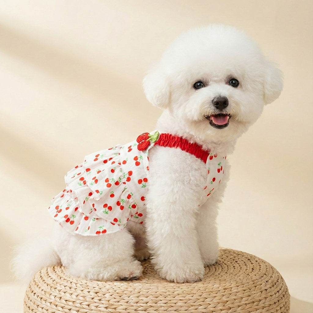 100 Cotton Dress For Cats And Dogs