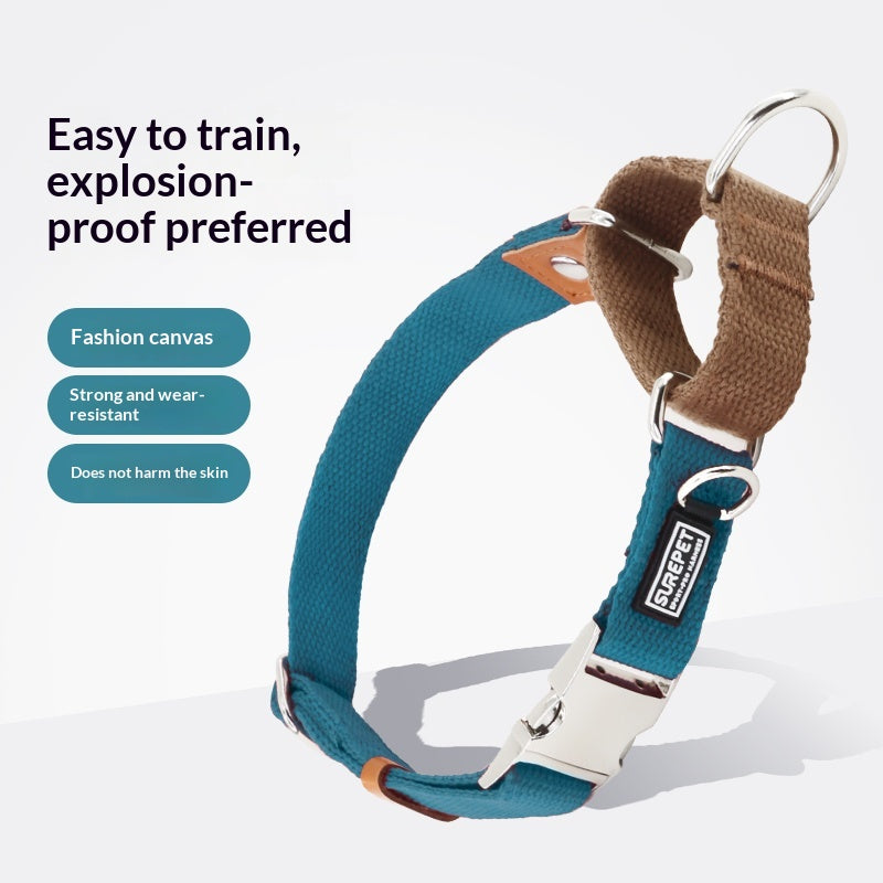 Dog Collar With ID Tag To Prevent Your Dog From Getting Lost
