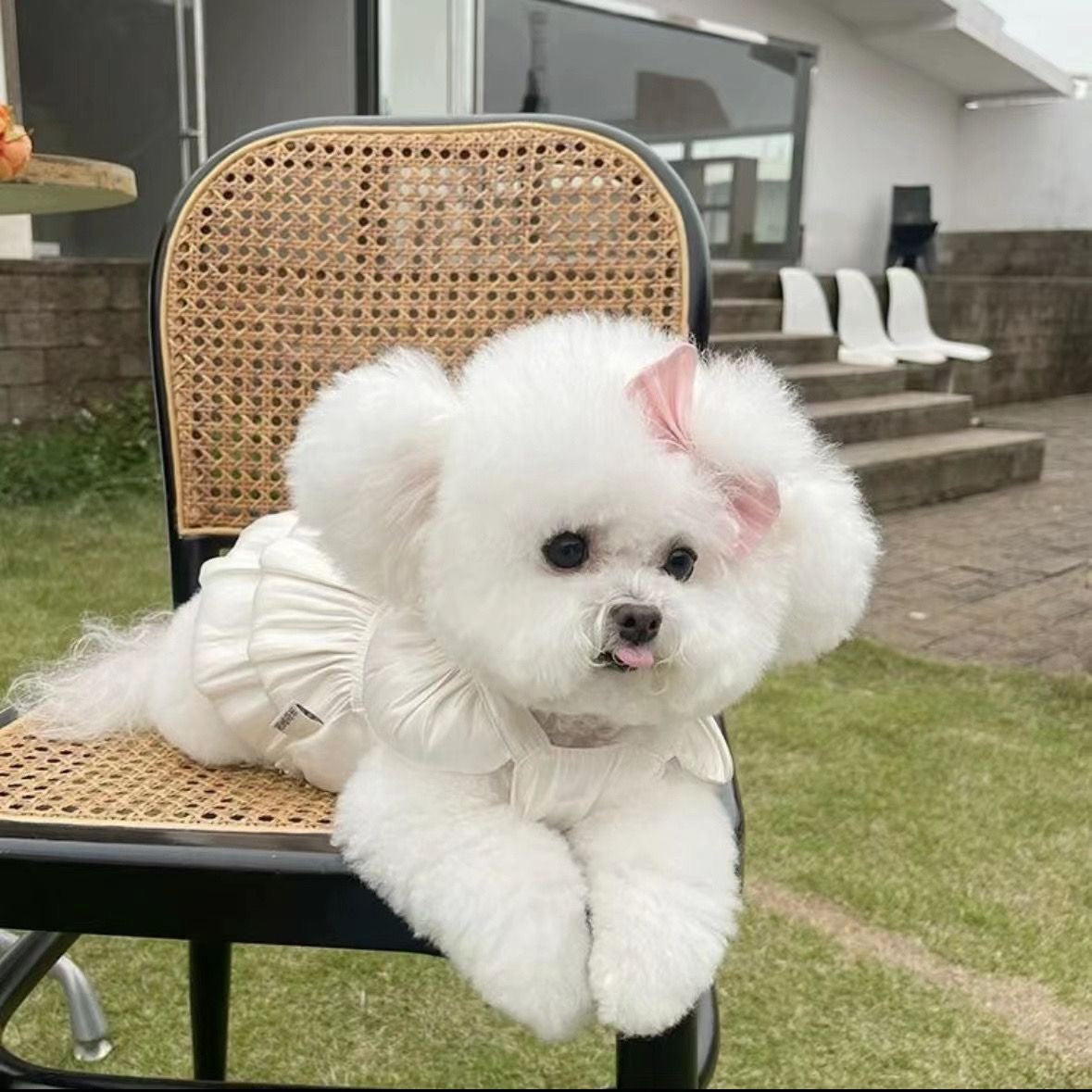 Pet Clothes Streamer Breathable Gauze Skirt Teddy Bichon Dog Cat Out Traction