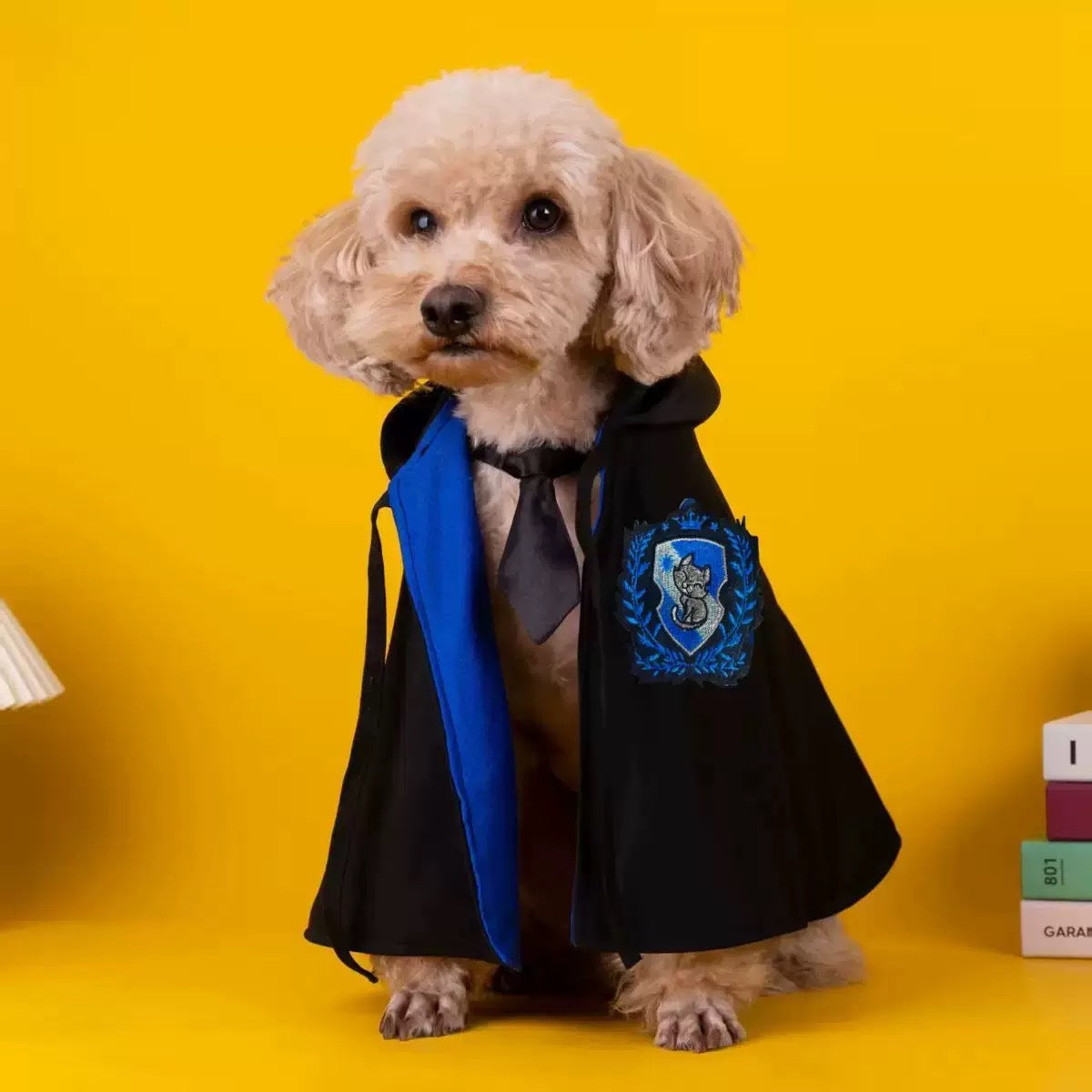 Pet Cat Dog Magic Harry Potter Glasses Small Cloak Robe Shawl College Internet Celebrity