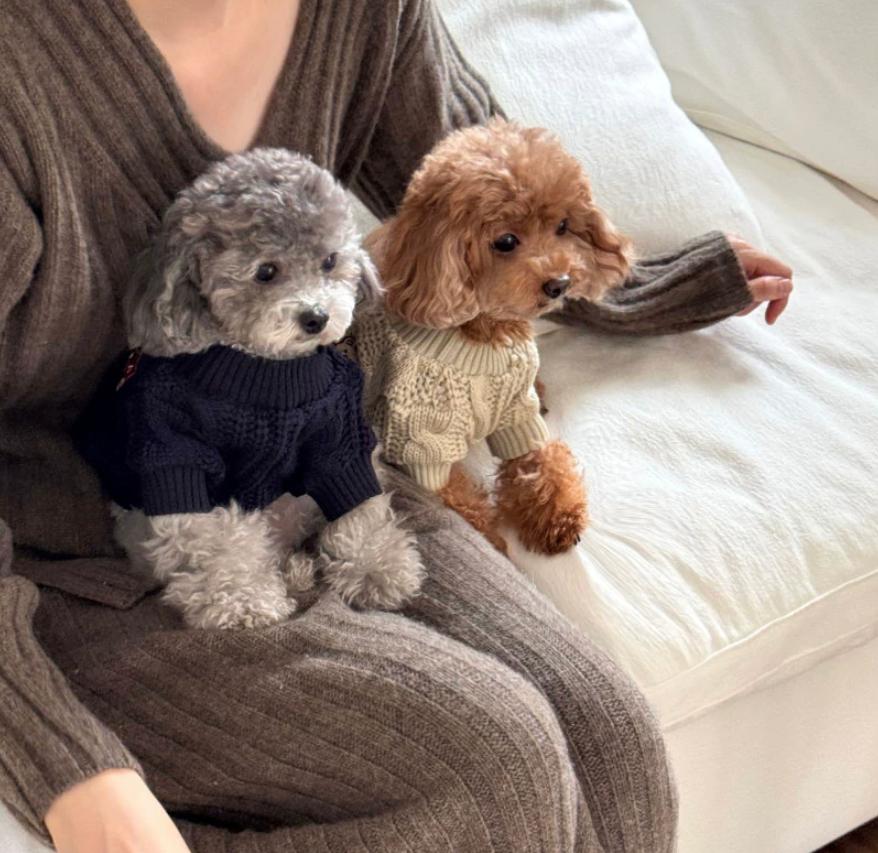 New Autumn Winter Cozy Sweater Dog Clothing