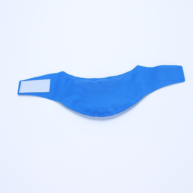 Pet cooling collar