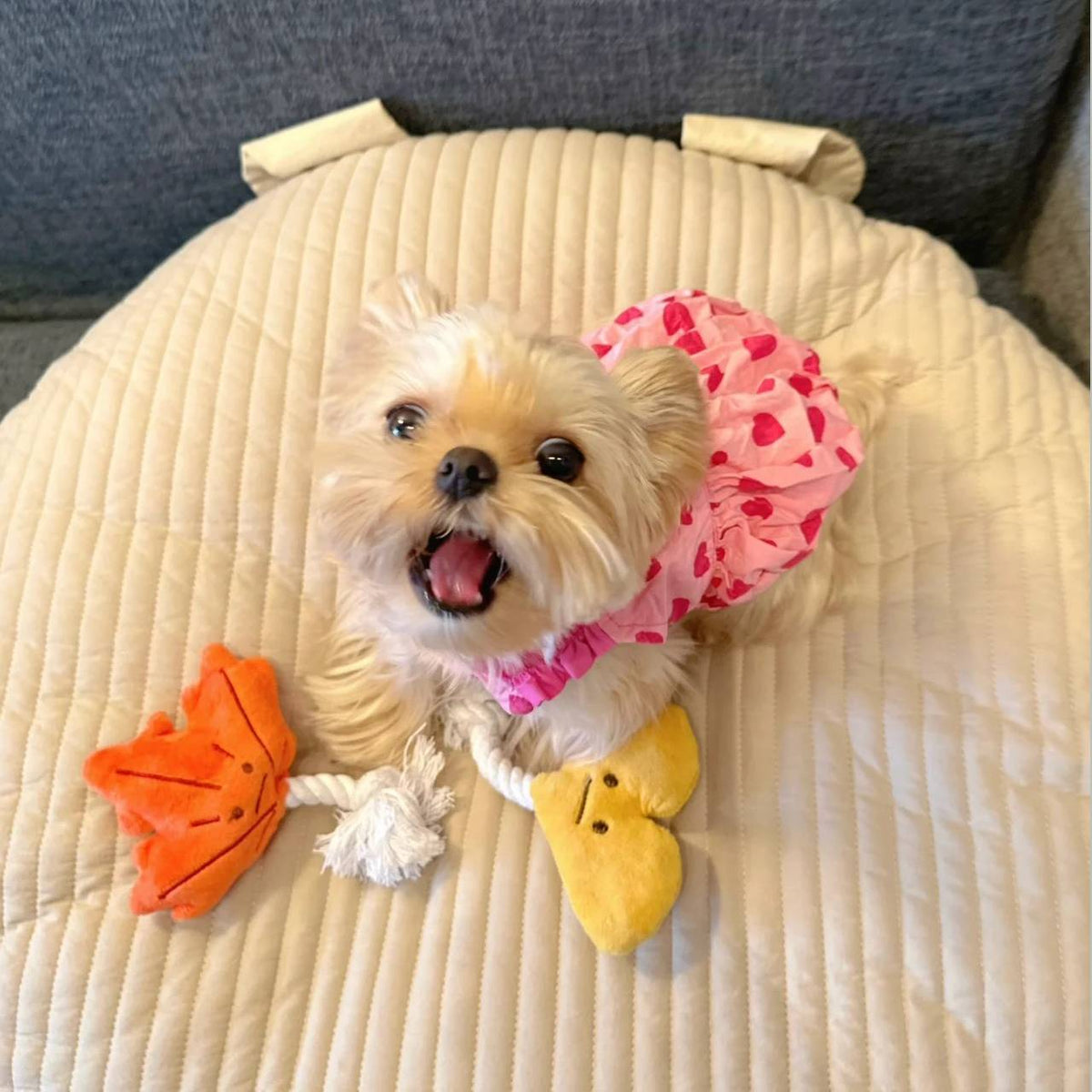 Springsummer Dog Clothes Princess Dress For Pets