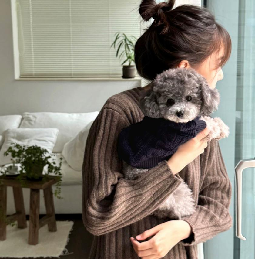 New Autumn Winter Cozy Sweater Dog Clothing