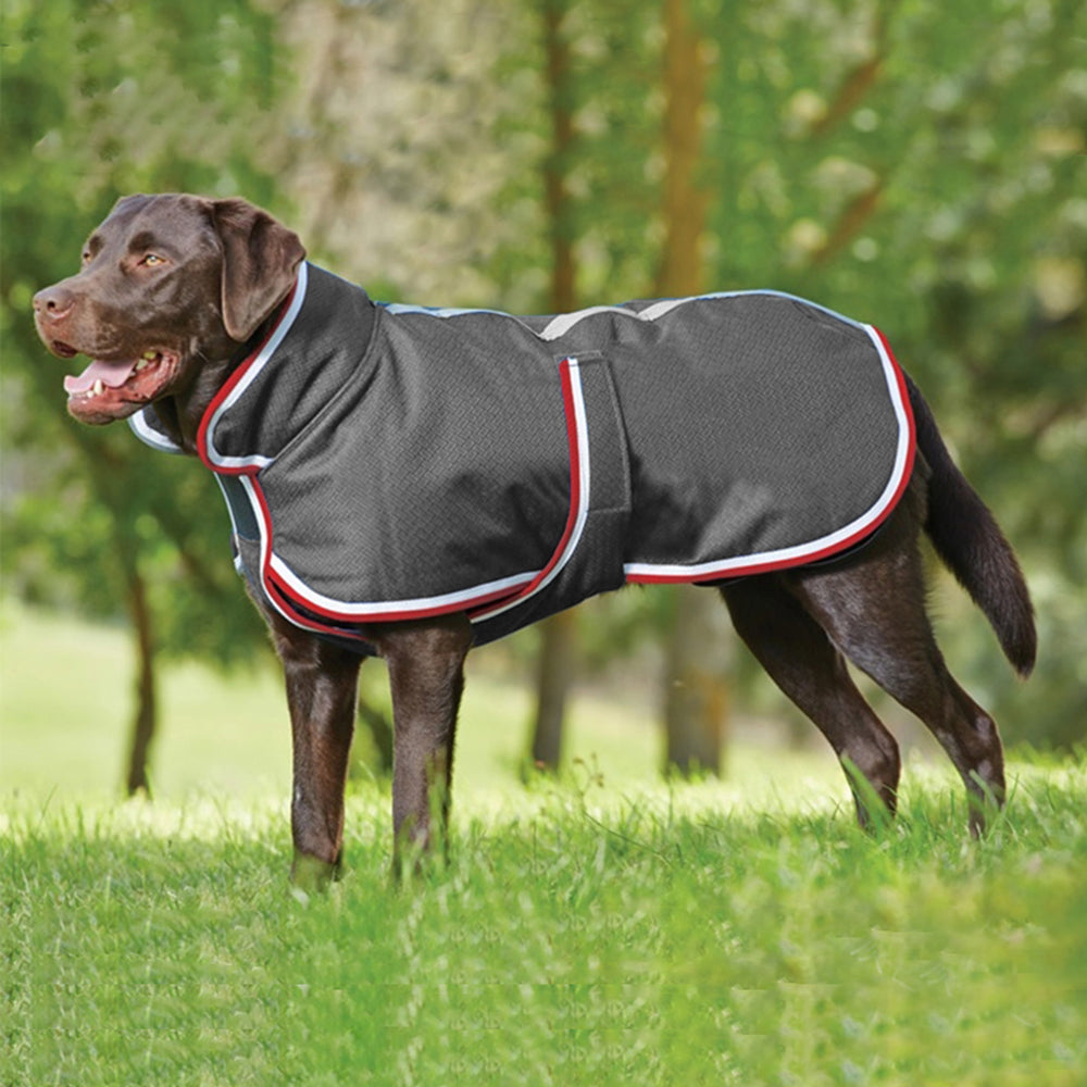Autumn And Winter Warm Pet Leisure Waterproof Jacket